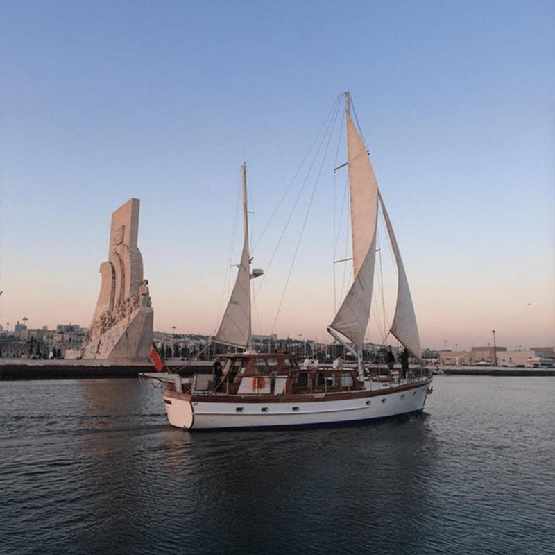 Private Cruise Vibes in Lisbon - Lisbon Vice group activity